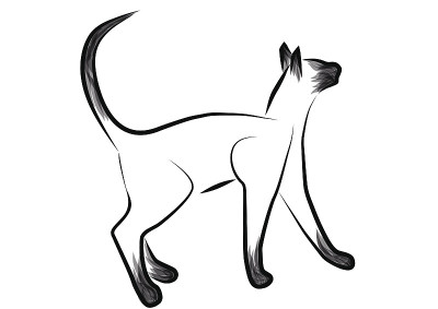 暹罗猫
