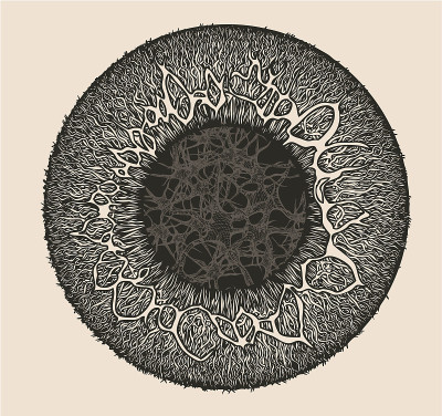 科学的方法。