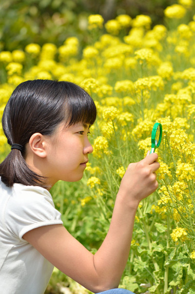 那女孩在用放大镜看花