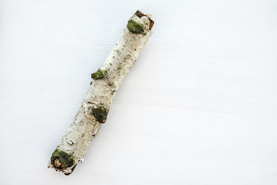 白色背景上的桦树皮