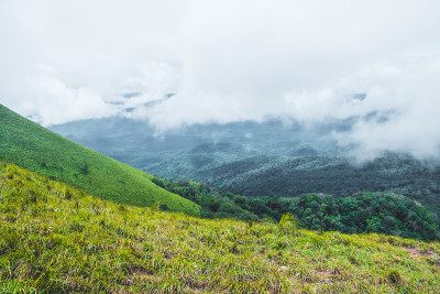 在泰国德省Doi Luang Tak雨季的观点和绿色的田野。