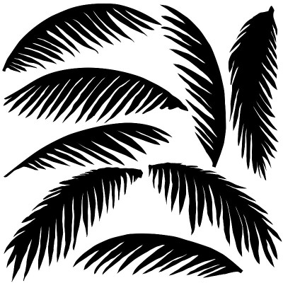黑色的棕榈叶
