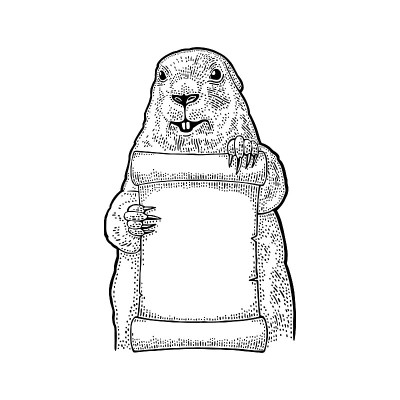 土拨鼠的海报。雕刻复古黑色插图。