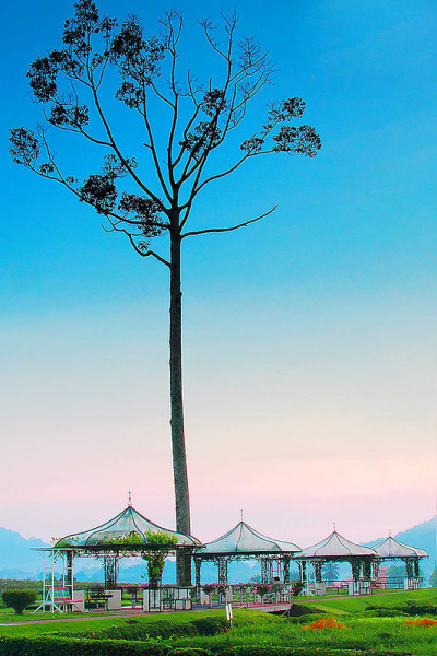 银湖
