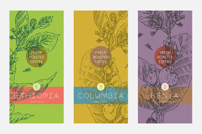 Organic coffee label template design with branch i