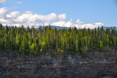 Helmcken Falls Cliff Face