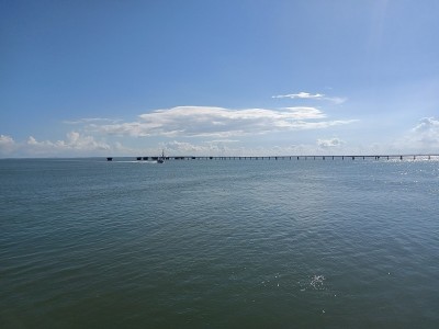 海