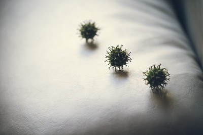 照片显示，covi19在房子的任何地方，在沙发上，在房间里，保持一切良好的秩序和清洁，与学校