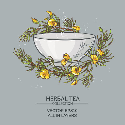 南非博士茶插图