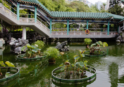 香港。黄大仙庙的花园。