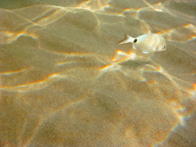 水下