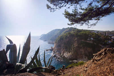 地中海沿岸