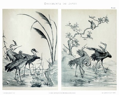 日本绘画、花鸟，来自日本装饰品1883年