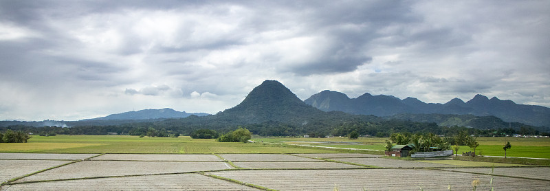 菲律宾的稻田和山脉