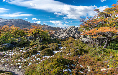 去埃尔查尔顿的菲茨罗伊山徒步旅行