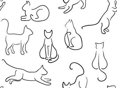 猫的背景
