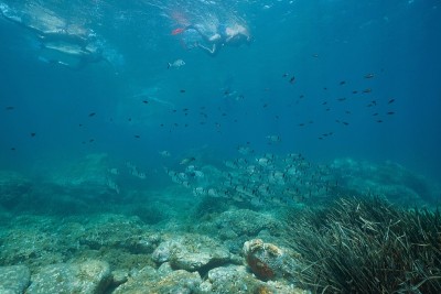 人们在地中海潜水