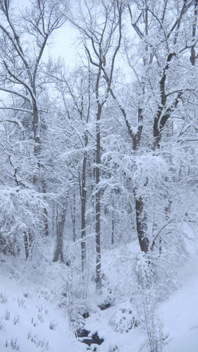 雪中的弗雷德里克斯堡弗吉尼亚