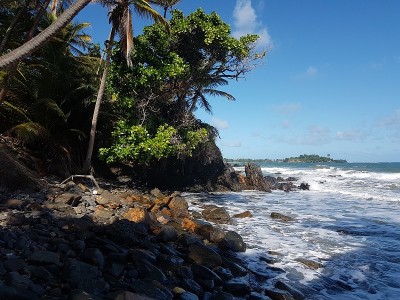 海滩和风景