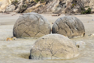 新西兰Moeraki Boulders海滩上的球形岩石。