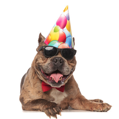 面带微笑的美国恶霸戴着生日帽，气喘吁吁