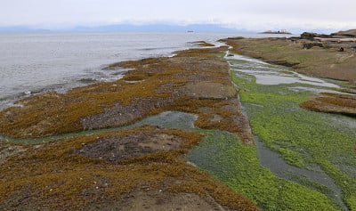 入口岛灯塔及海岸