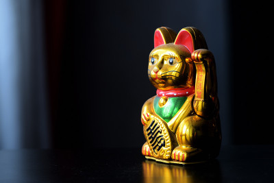 金毛猫，幸运猫，满身灰尘。时间的概念和对好运的期待