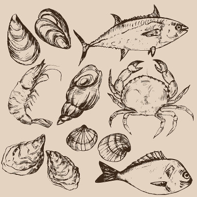 手绘海鲜，矢量插图