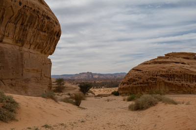 沙特阿拉伯Al Ula附近的Mada'in Saleh (Al- hijr & Hegra)考古遗址