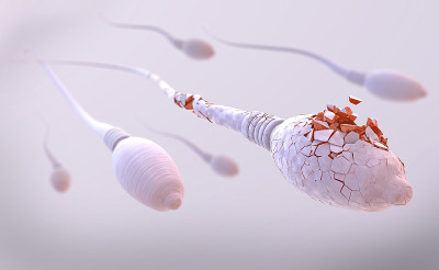 白色受损精子细胞向右游动的3d图片
