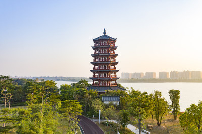 中国广东省东莞市华阳湖湿地公园风光