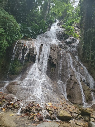 宁静