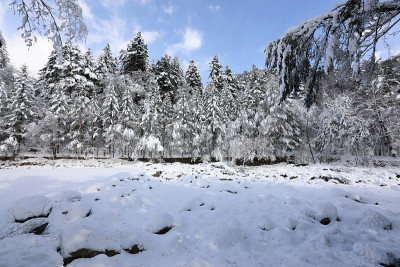 冰雪覆盖的树木，美丽的冬季景观(荻田山国家公园，江原道，韩国)