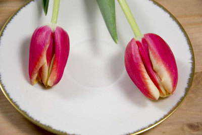 菜