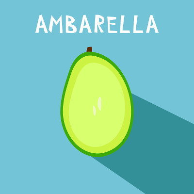 Vector drawing of rare tropucal exotic fruit - amb