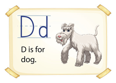 字母D