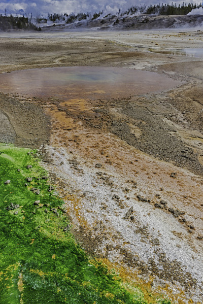 诺里斯间歇泉盆地的藻类和细菌径流通道显示了黄石国家公园的地热活动