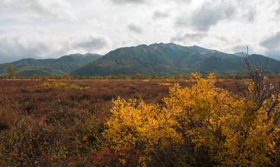 堪察加半岛的秋景