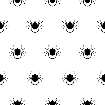 无缝模式与Tick。螨虫。矢量图