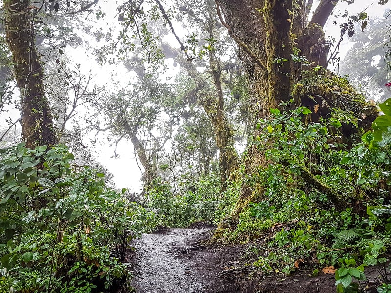 危地马拉阿卡特南戈火山徒步路线