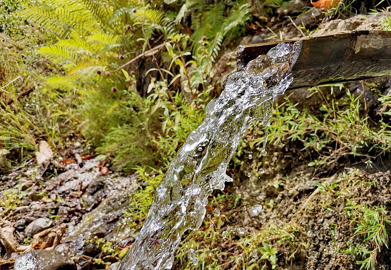 Secret spring in the forest