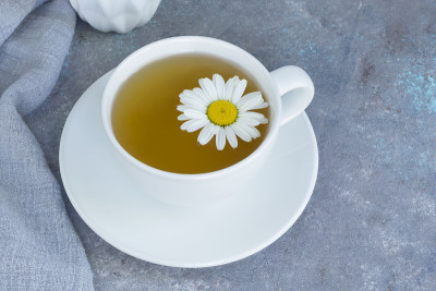 草本甘菊茶与新鲜甘菊花在白色的杯和碟在灰色的背景。