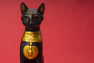 黑色的埃及猫