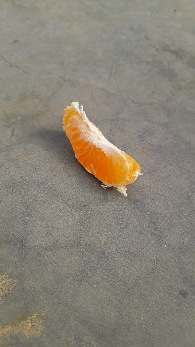 一个多汁的橘子角