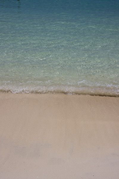 热带海岸