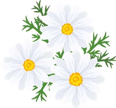 花的插图