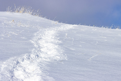 落基山脉下大雪