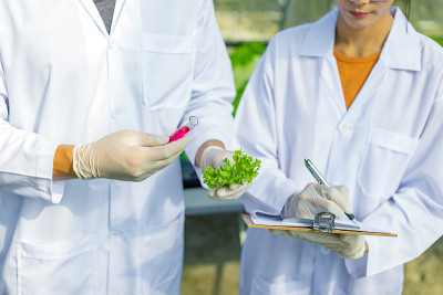 科学家测试溶液，化学检查，在有机水培农场检查新鲜程度。