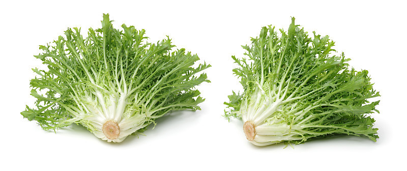 Escarole Endive