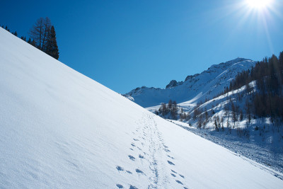 滑雪旅游追踪